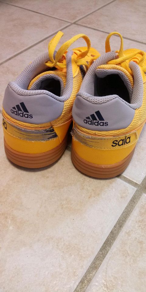 Adidas Hallenschuh in Genthin