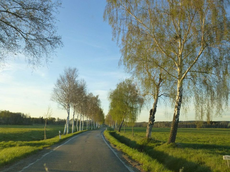 Bienen Parkplatz - Heimat -Garten in Illmensee