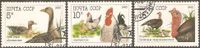 Sowjetunion 6102-6104 ° Tiere Vögel Graugans Haushuhn Truthahn Nordrhein-Westfalen - Kamen Vorschau