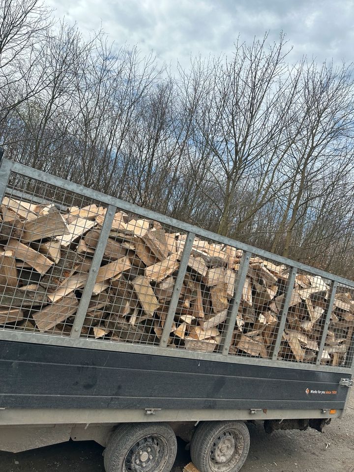 Brennholz Laubholz Hartholz Feuerholz Buche in Nörten-Hardenberg