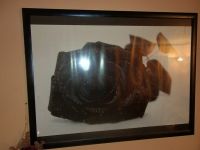 Tolles Bild schwarze Rose abzugeben 65 x 85 cm Hessen - Fürth Vorschau