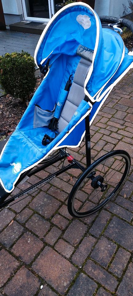 Baby Jogger Buggy in Meiningen