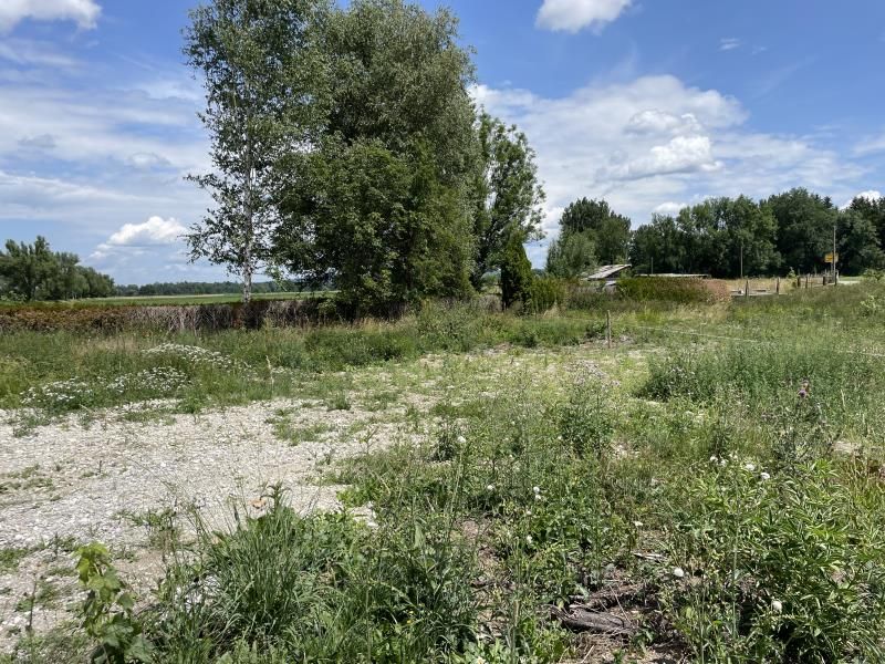 Baugrundstück für ein EFH oder DH in ruhiger Stadt-Randlage im Westen von Weilheim in Weilheim