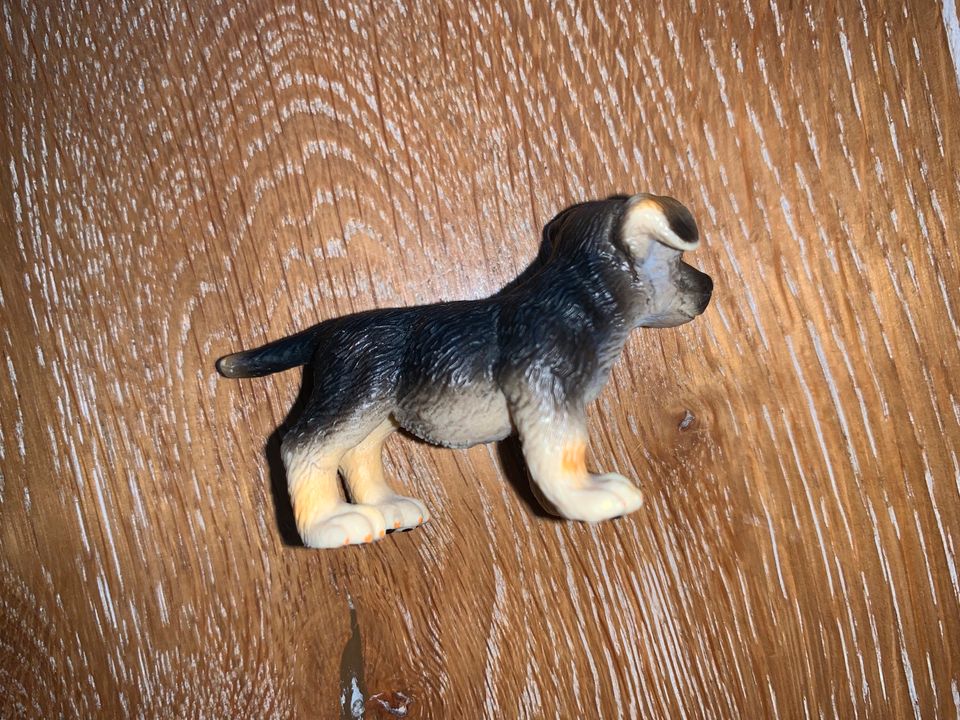 Schleich • Schäferhund Welpe 16343 • unbespielt in Bergisch Gladbach