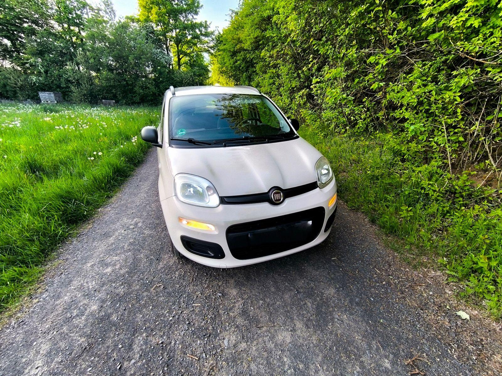 Abbildung des Autos Fiat New Panda 1.2 8V -