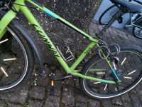 Jugendfahrrad  MTB Conway 260 Bayern - Lindau Vorschau