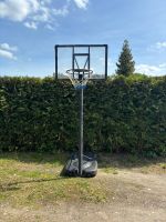 Basketballständer XXL Hamburg - Bergedorf Vorschau