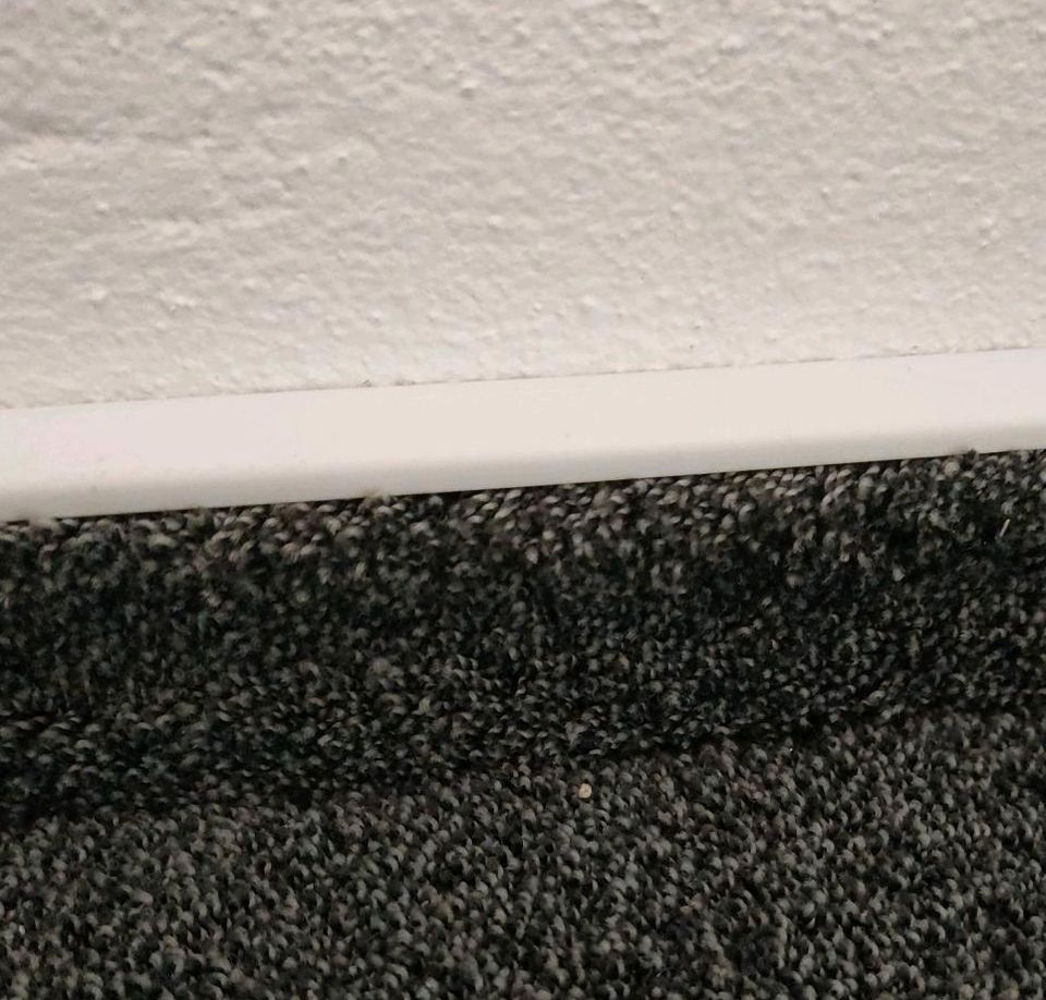 400 cm Randleiste Sockelleiste Einklebeleiste weiß für Teppich in Hirschau