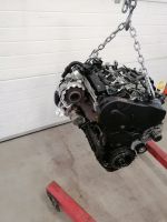 Motor Komplett AUDI VW DFTC 2.0 TDI 57.000km 12 Monate Brandenburg - Küstriner Vorland Vorschau