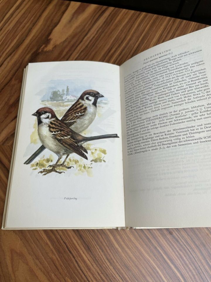 DDR Buch Taschenbuch der heimischen Singvögel GDR in Jüterbog