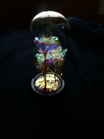 Ewige Rose im Glas mit Licht, Glaskuppel, LED Bayern - Riedering Vorschau