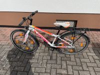 Kinderfahrrad Stevens 14 Zoll zu verkaufen Hessen - Meinhard Vorschau