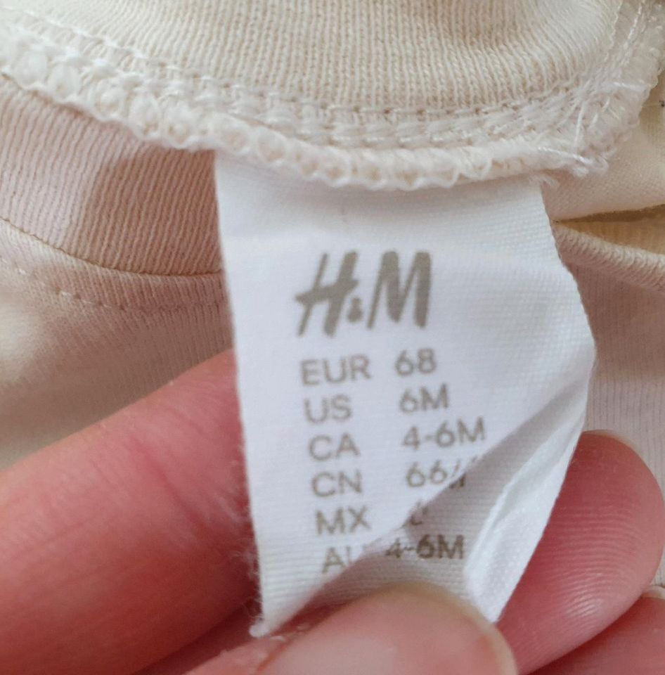 H&M T-Shirts Gr. 68 Beatles Bär in Lehrte