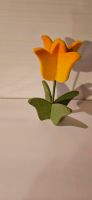 Zu verschenken  deko Blume Siehe auch  andere  Anzeigen  von  uns Niedersachsen - Celle Vorschau