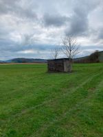 Wiese Garten Grundstück Pferdewiese Freizeitgrundstück Rheinland-Pfalz - Lieser Vorschau