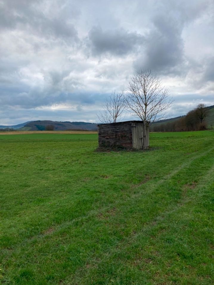 Wiese Garten Grundstück Pferdewiese Freizeitgrundstück in Lieser