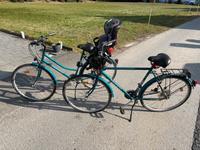 Zwei Fahrräder inklusive Fahrradsitz, California Bielefeld - Joellenbeck Vorschau