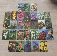 Sammelkarten, Quelle-Sammelalbum, Blumen und Schmetterlinge Bayern - Oberschwarzach Vorschau