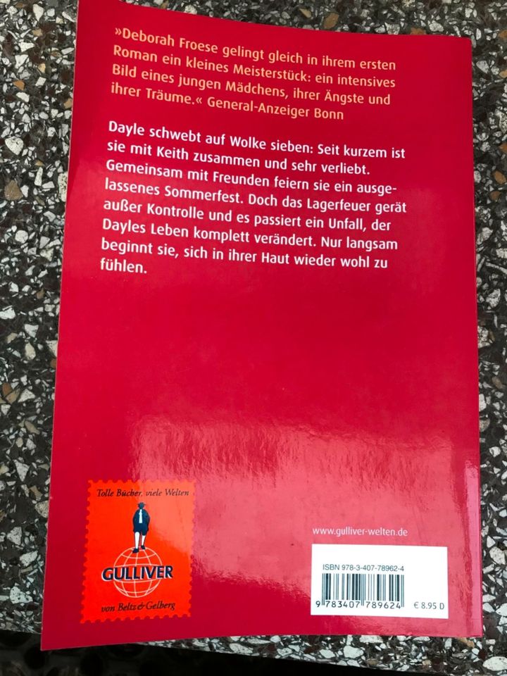 Buch: In meiner Haut (Deborah Froese), Jugendbuch in Frankfurt am Main