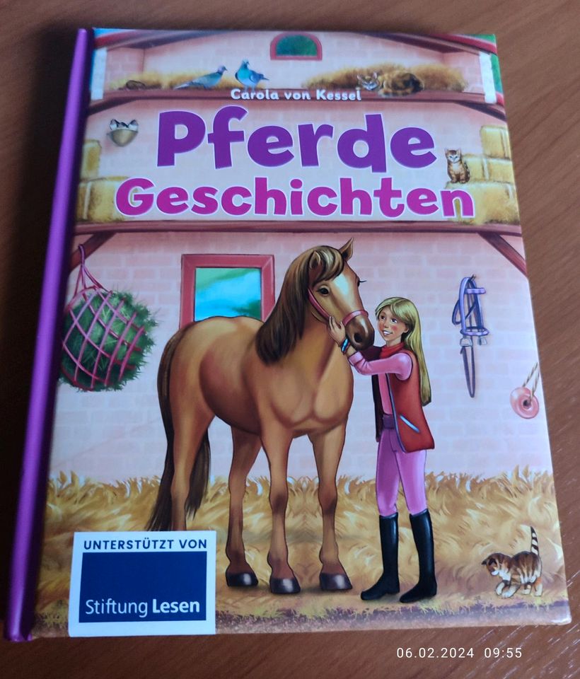 Kinderbuch Pferde Geschichten neuwertig in Troisdorf