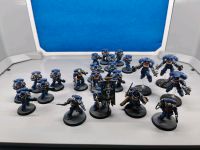 Dark Imperium Primaris Marines Hessen - Hohenstein Vorschau