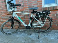 E-Bike Herren eVictoria Holland 7.4 Fahrrad Geestland - Debstedt Vorschau