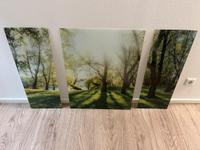 Triptychon Wald Bayern - Aschaffenburg Vorschau