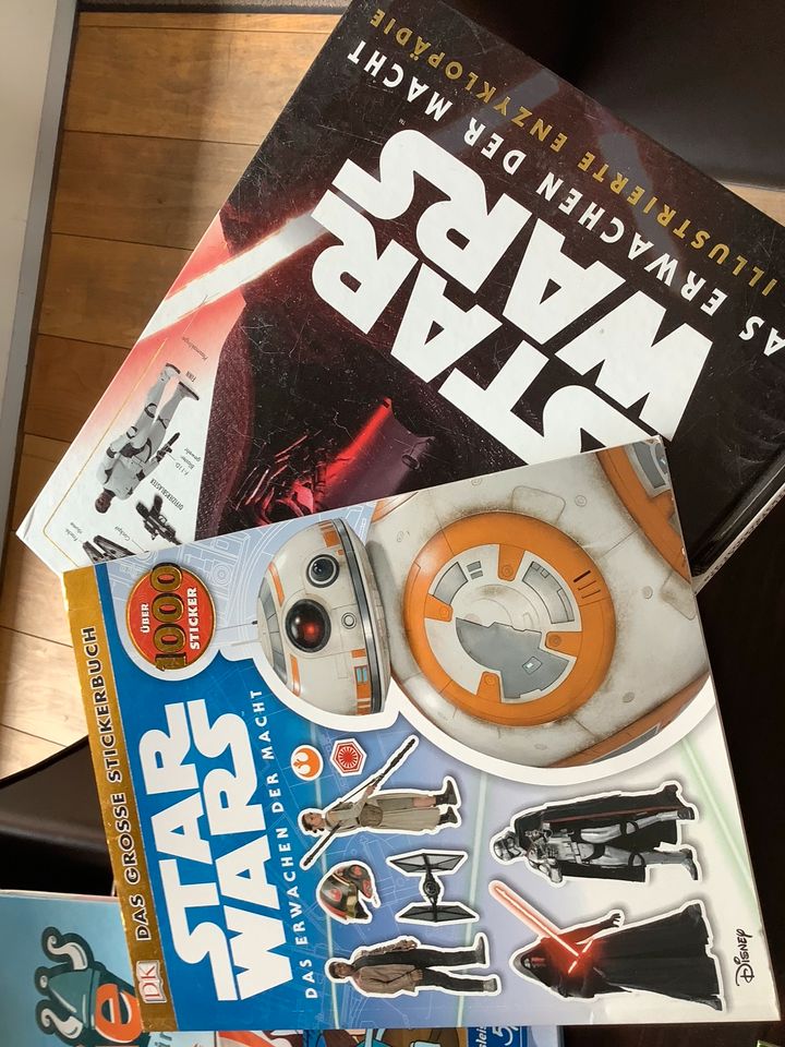 Kinderbücher, Jugendbücher Star Wars Sternenschweif Kokosnuss usw in Oldenburg