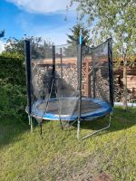 Trampolin  2m Durchmesser Brandenburg - Bad Freienwalde Vorschau