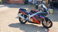 Yamaha FZR600R Niedersachsen - Delligsen Vorschau