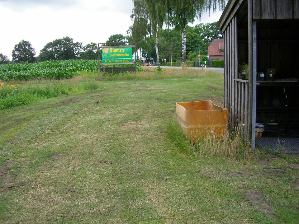 Blumen  selber schneiden in Gyhum