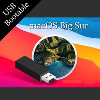 mac OS 11.6 Big Sur USB Boot Stick! auf 32 GB USB 3.0 Stick Nordrhein-Westfalen - Rheine Vorschau