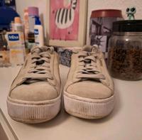 puma Schuhe Dresden - Prohlis-Nord Vorschau