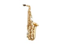 % ANTIGUA Altsaxophon AS2155LQ-CH lackiert inkl. Case / € 1.330,- Bayern - Tirschenreuth Vorschau