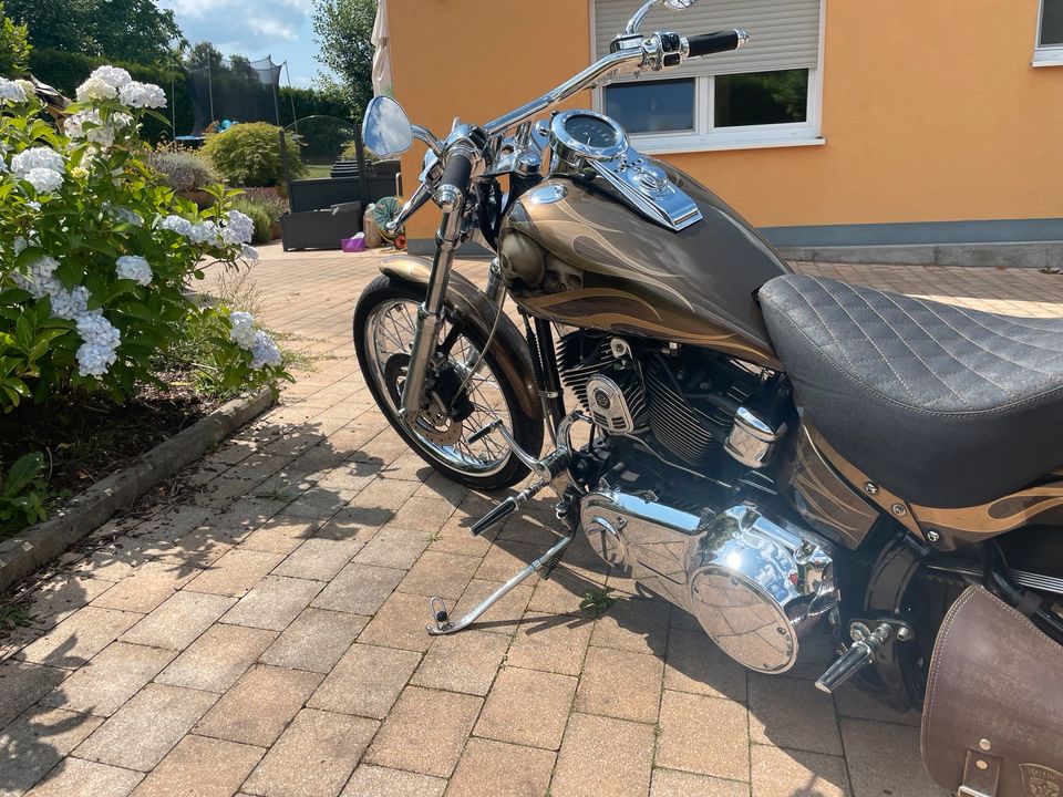 *Preisupdate* Harley Davidson Softail Custom FXSTC in Sprockhövel