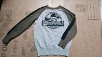 Jurassic World Pullover Größe 122 Rheinland-Pfalz - Mutterstadt Vorschau