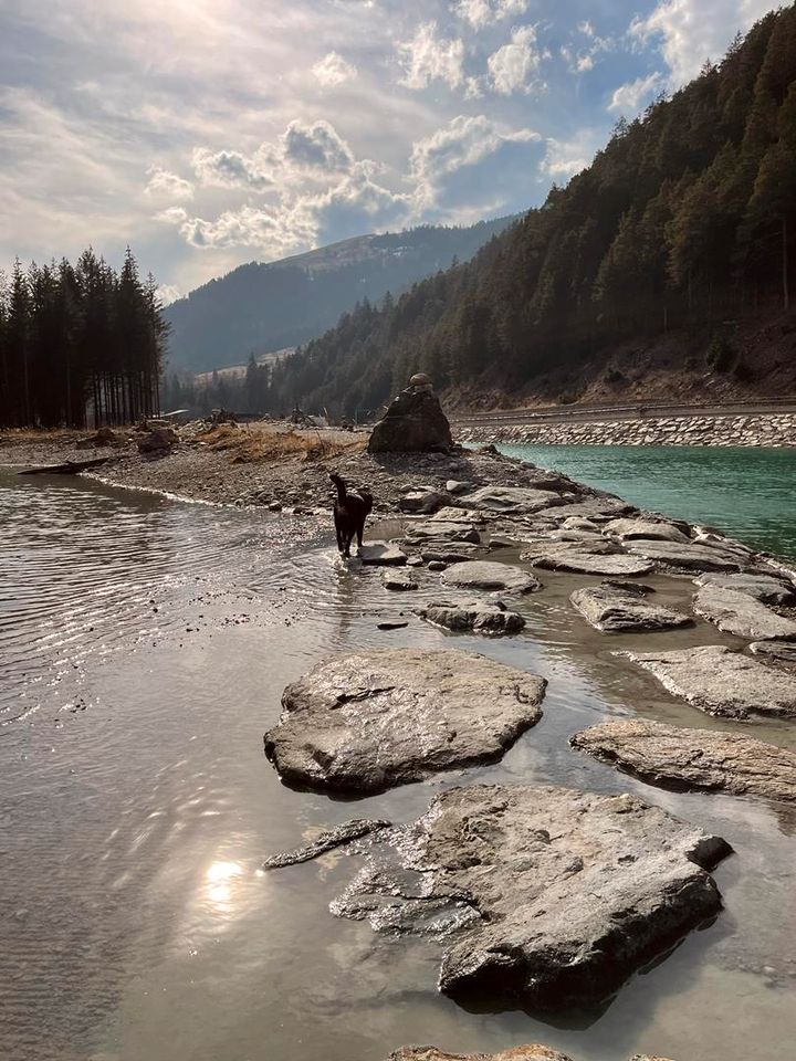 Drei Länder ein Urlaub-Ferienwohnung mit Hund in Österreich Tirol in Carlsberg