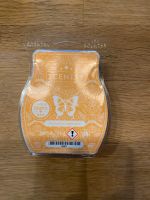 Scentsy Bar / Pumpkin Cashmere Hessen - Schwalmtal Vorschau