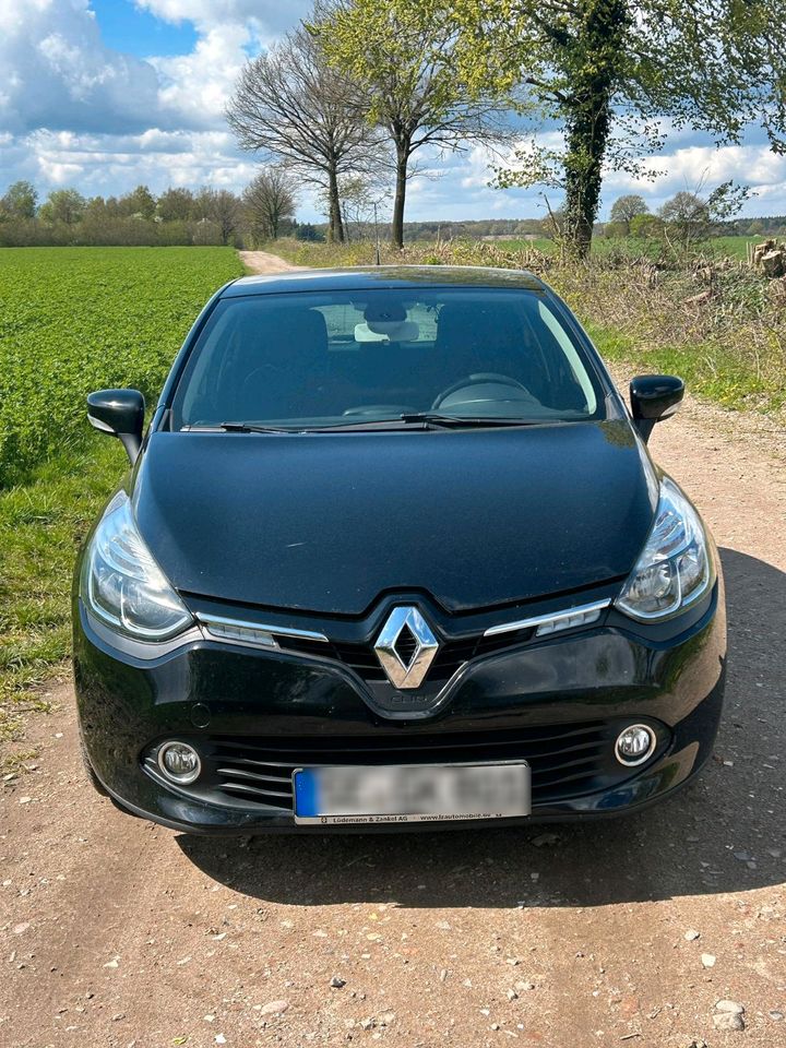 Renault Clio Tce zu verkaufen in Blunk