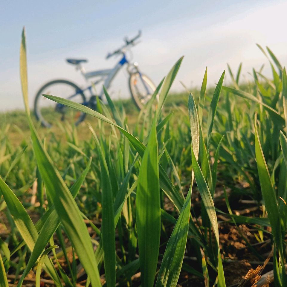 Fahrrad gesucht in Bad Sulza