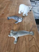 Schleich Wassertiere Eisbär und Robben Kiel - Meimersdorf-Moorsee Vorschau