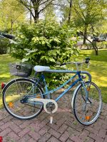 Fahrrad blau mit Korb Hannover - Kirchrode-Bemerode-Wülferode Vorschau