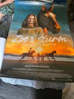 Zoe & der Sturm  filmplakat klein Orginal gerollt 0.84 x 0.59 m Baden-Württemberg - Heilbronn Vorschau