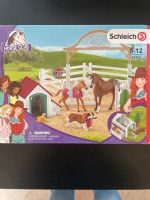 Schleich Horse Club 42458 Hannahs Gastpferde mit Hündin Ruby Nordrhein-Westfalen - Elsdorf Vorschau