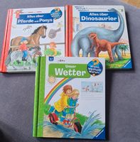 Kinder Bücher Wieso? Weshalb? Warum? Wetter,Pferde, Dinosaurier Berlin - Charlottenburg Vorschau