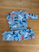 Baby Jogginganzug blau Dinosaurier Alana 74/80 Bayern - Alzenau Vorschau