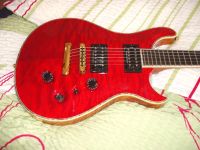 Fame Forum Custom E-Gitarre mit Seymour Duncan Pickups Stuttgart - Bad Cannstatt Vorschau