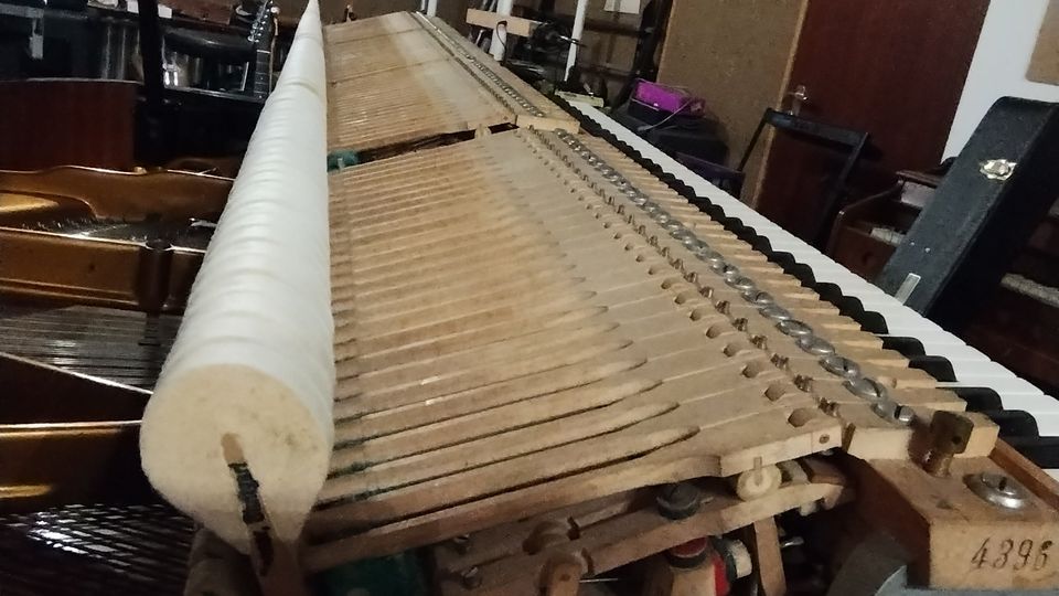 Bösendorfer Flügel 155 Bauj. 1941 Rarität Studioinstrument in Hamburg