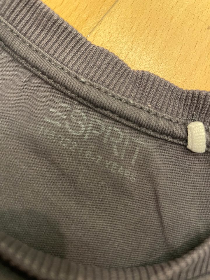 Esprit T-Shirt Käfer Gr.110/116 in Braunschweig
