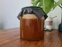 Kombucha Scoby, Teepilz mit Ansatzflüssigkeit Altona - Hamburg Bahrenfeld Vorschau